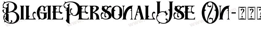 BilgiePersonalUse On字体转换